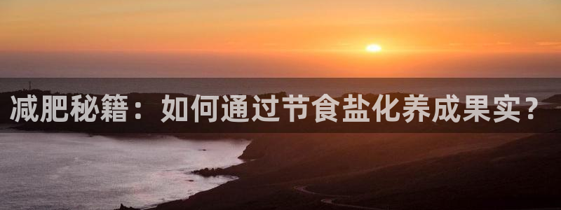 威九国际v8