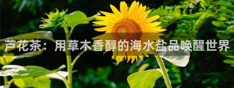 威九国际电视