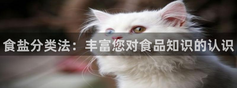 威九国际官方下载