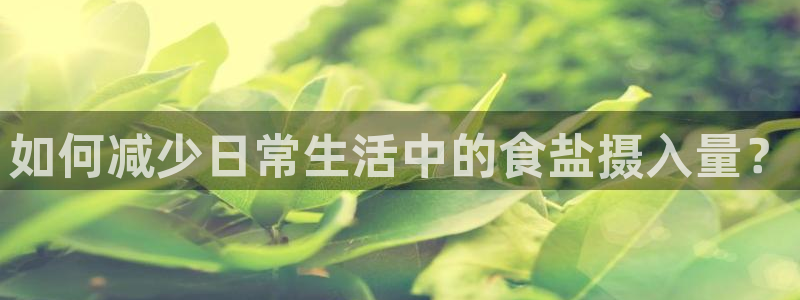 威九国际旗下艺人有谁