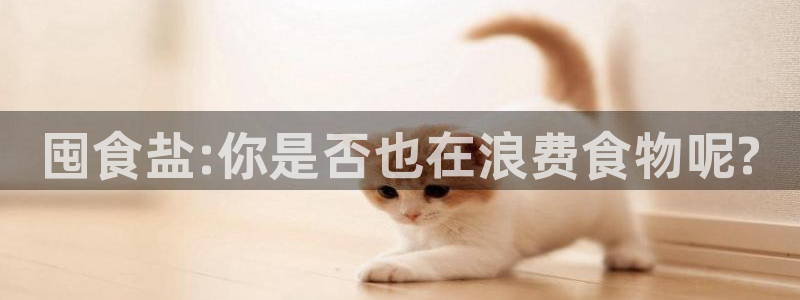 78.m威九国际官网版