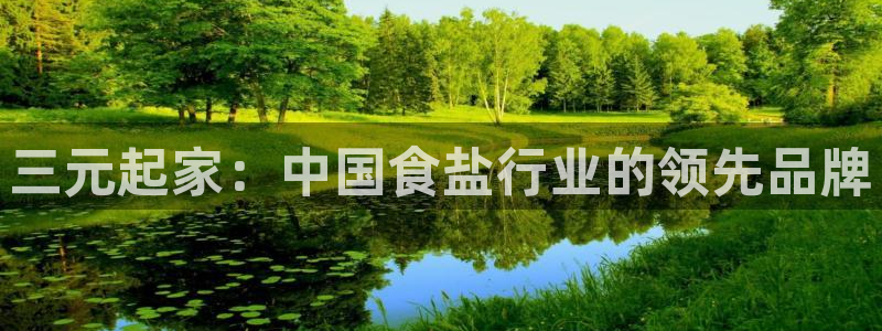 威九国际8ⅹ8x