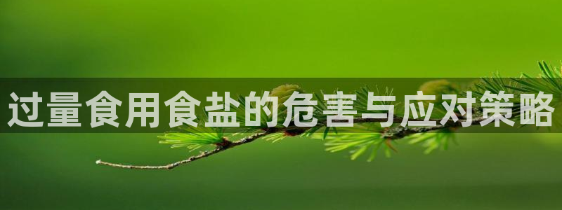 威九国际理论片最经典十首歌曲