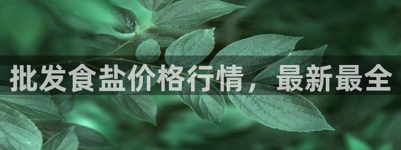 威九国际官方下载