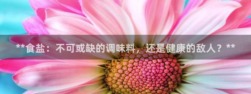 威九国际的网站入口在哪里