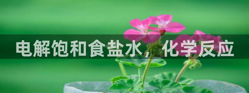 威九国际66m官网版