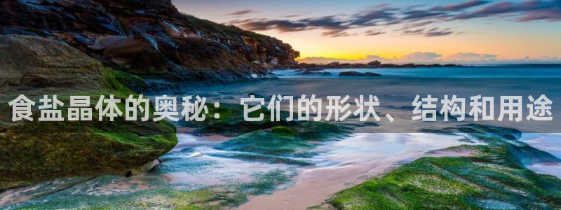 威九国际全国空降