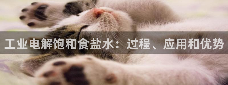 威九国际成长模式