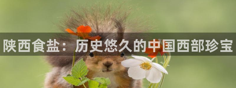 威九国际78mB官网版
