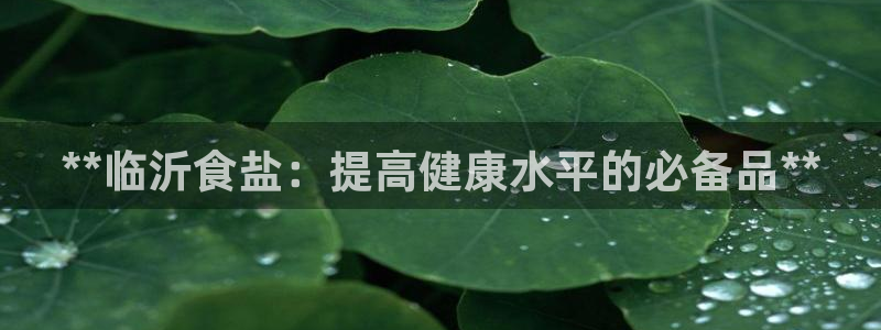 威九国际清砖码头在哪