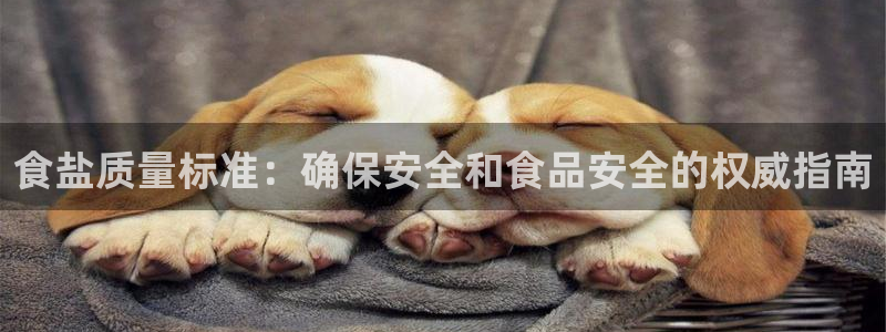 威九国际游戏app(网站)