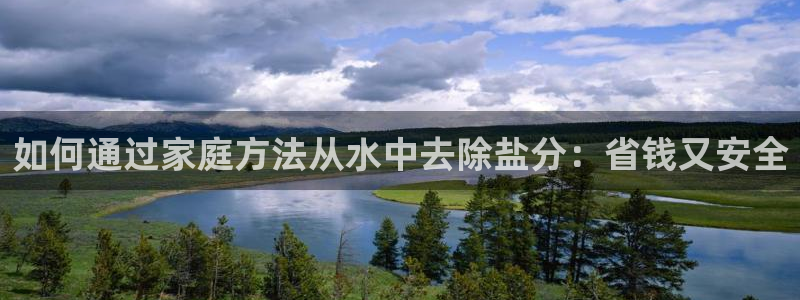 威九国际app