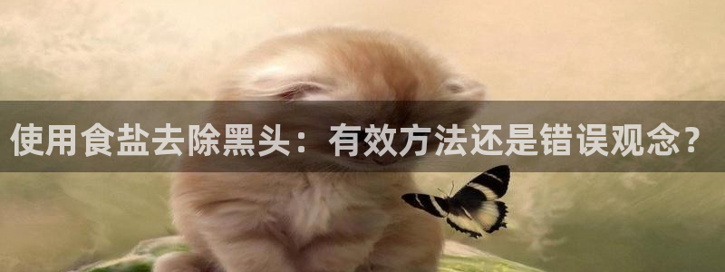 威九国际最新