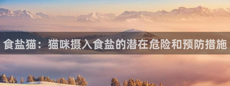威九国际客服电话号码查询