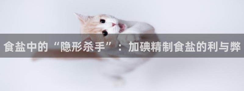 威九国际如何下载