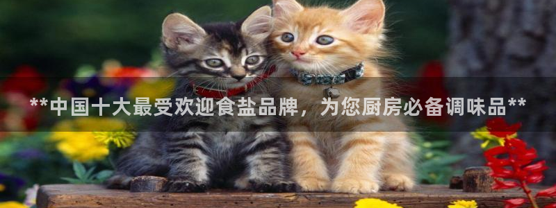 威九国际精彩推荐怎么样