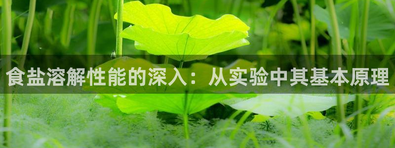威九国际宣传片