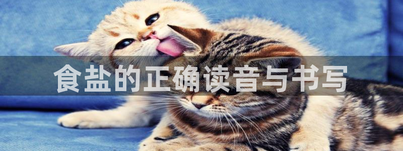 威九国际天美