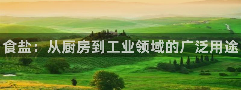 威九国际78mob游戏说明