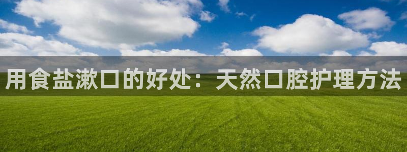 威九国际ppt免费