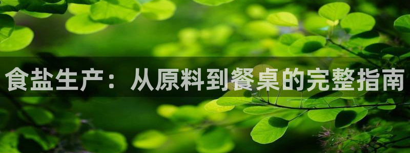 威九国际Info