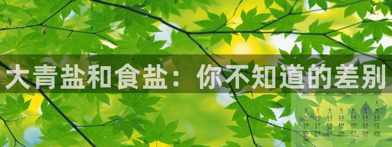 威九国际取款机怎么取