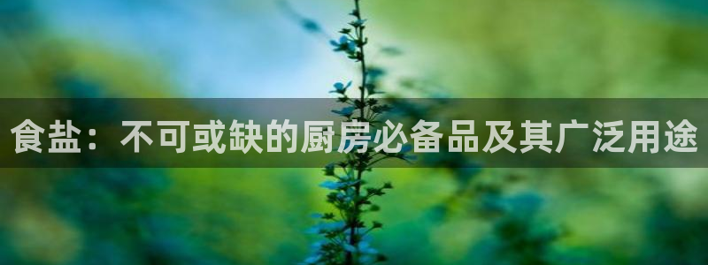 威九国际电影HD