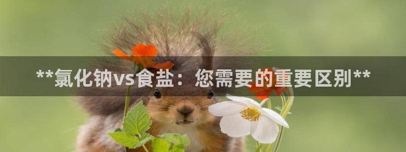 威九国际的金融服务有哪些