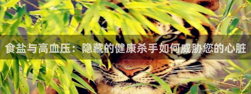 威九国际狂飚电影