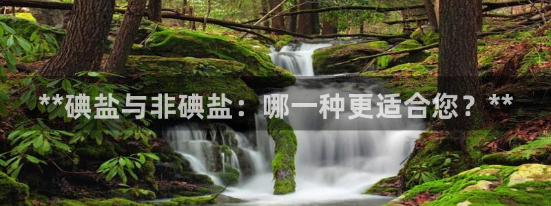 威九国际在哪里