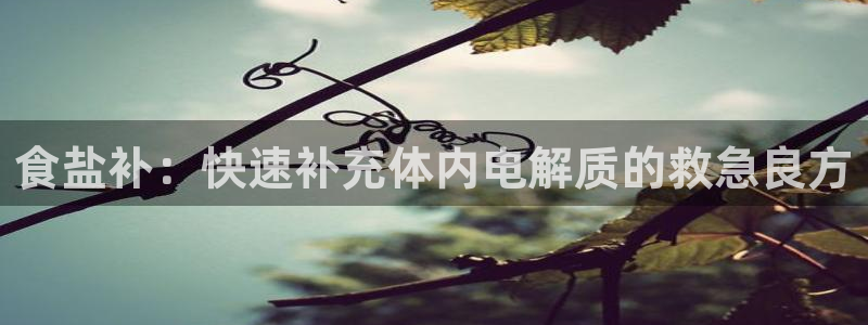 威九国际电子游戏