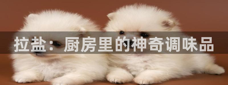 威九国际黄威尼斯
