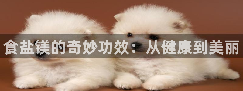 威九国际78app