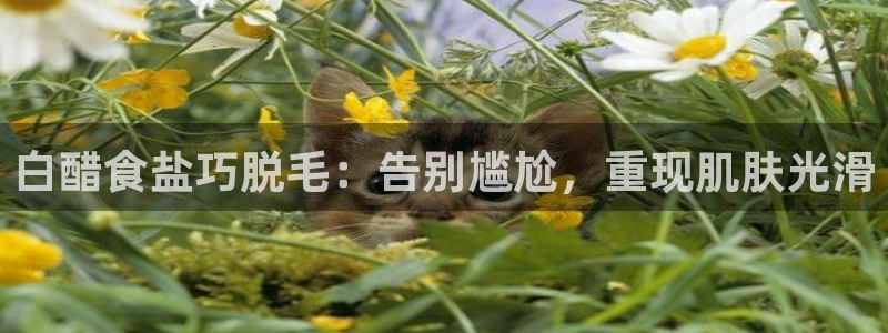 威九国际黄威尼斯