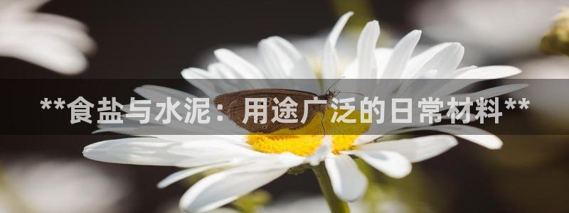 威九国际电视
