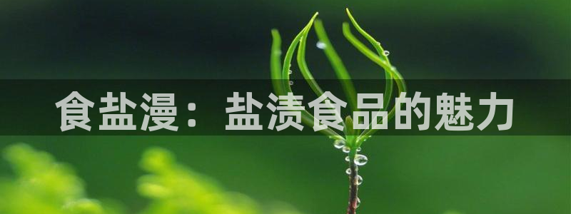 威九国际X8
