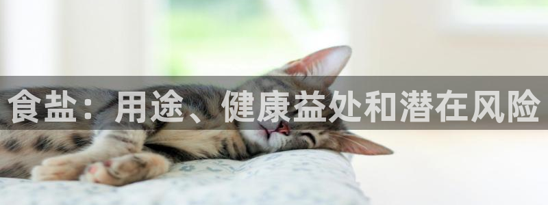 威九国际精忐
