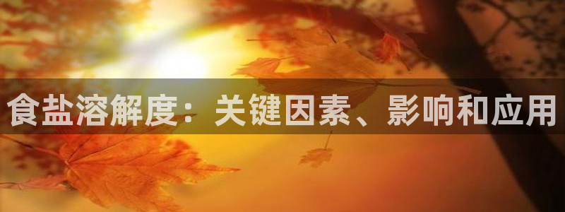 威九国际女明星