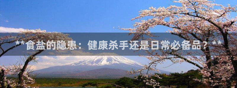 保定威九网络科技有限公司招聘