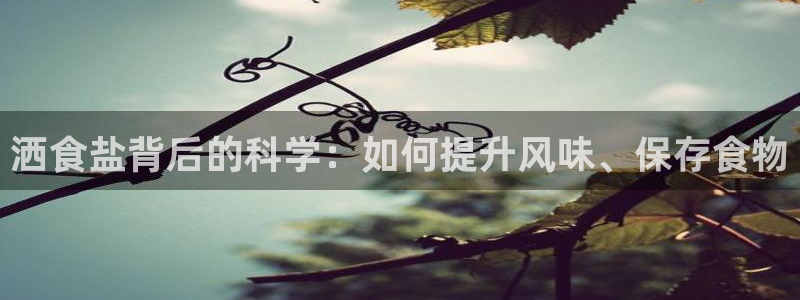 威九国际FF
