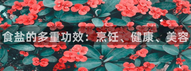 威九国际官网版下载