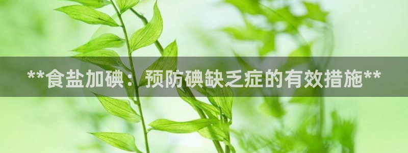 威九国际v96BET