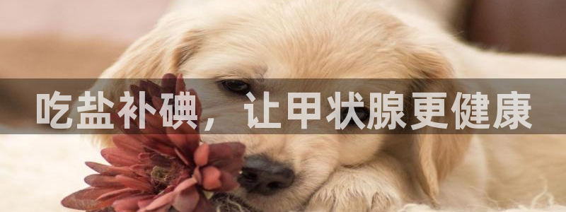威九国际网站入囗