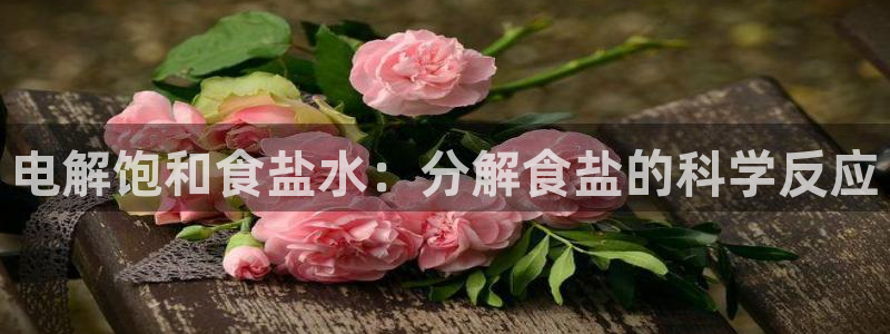 威九国际海域