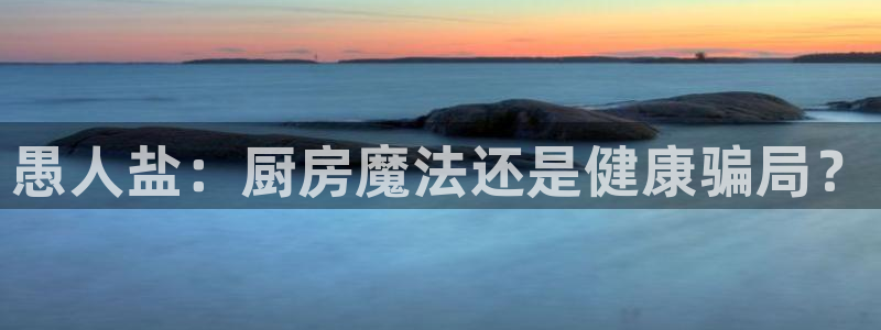 威九国际X8