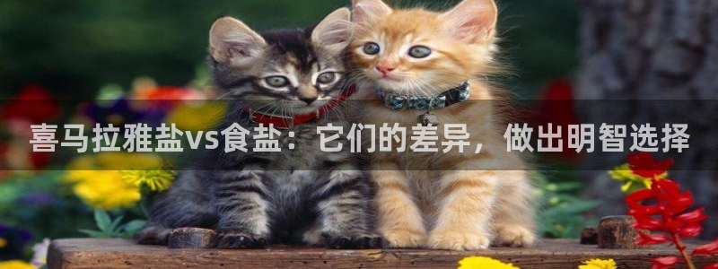 威九国际可以提现吗安全吗