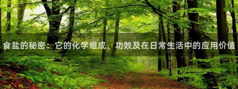 威九国际AN
